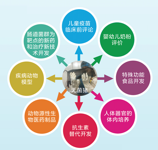 QQ图片20171016163437.jpg