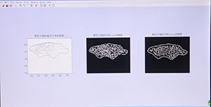 图片3_眼肌区域脂肪组织分布纹路图及脂肪沉积边缘图.JPG