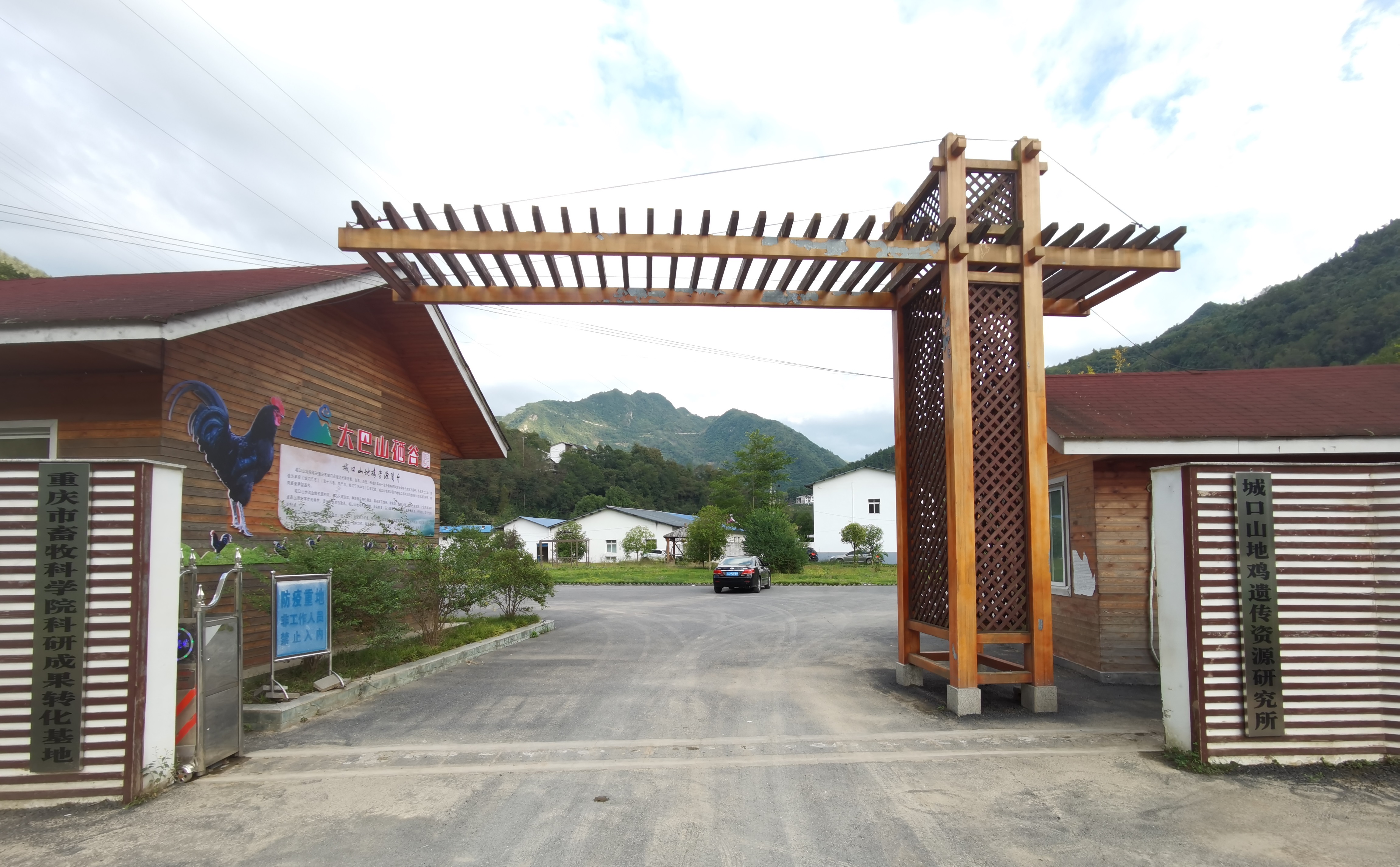 城口山地鸡遗传资源研究所.jpg